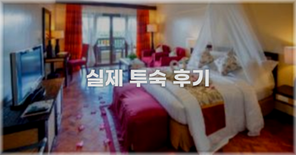 💬 실제 투숙 후기